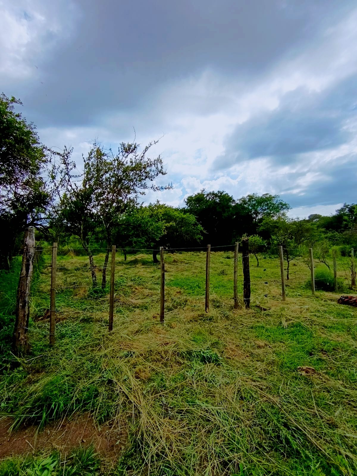 4 Terrenos en venta El Parador de la Montaña 