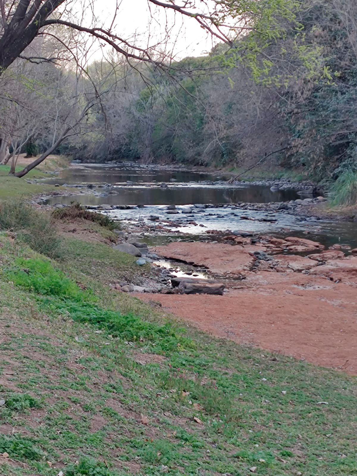 Terrenos en venta Rio de los Sauces