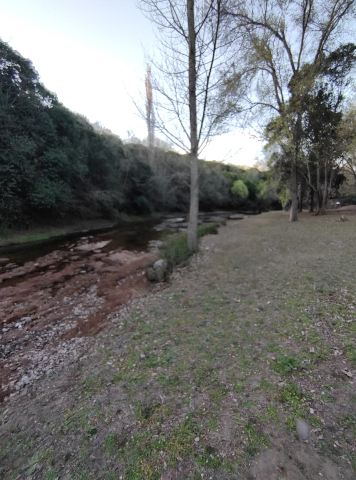 Terrenos en venta Rio de los Sauces