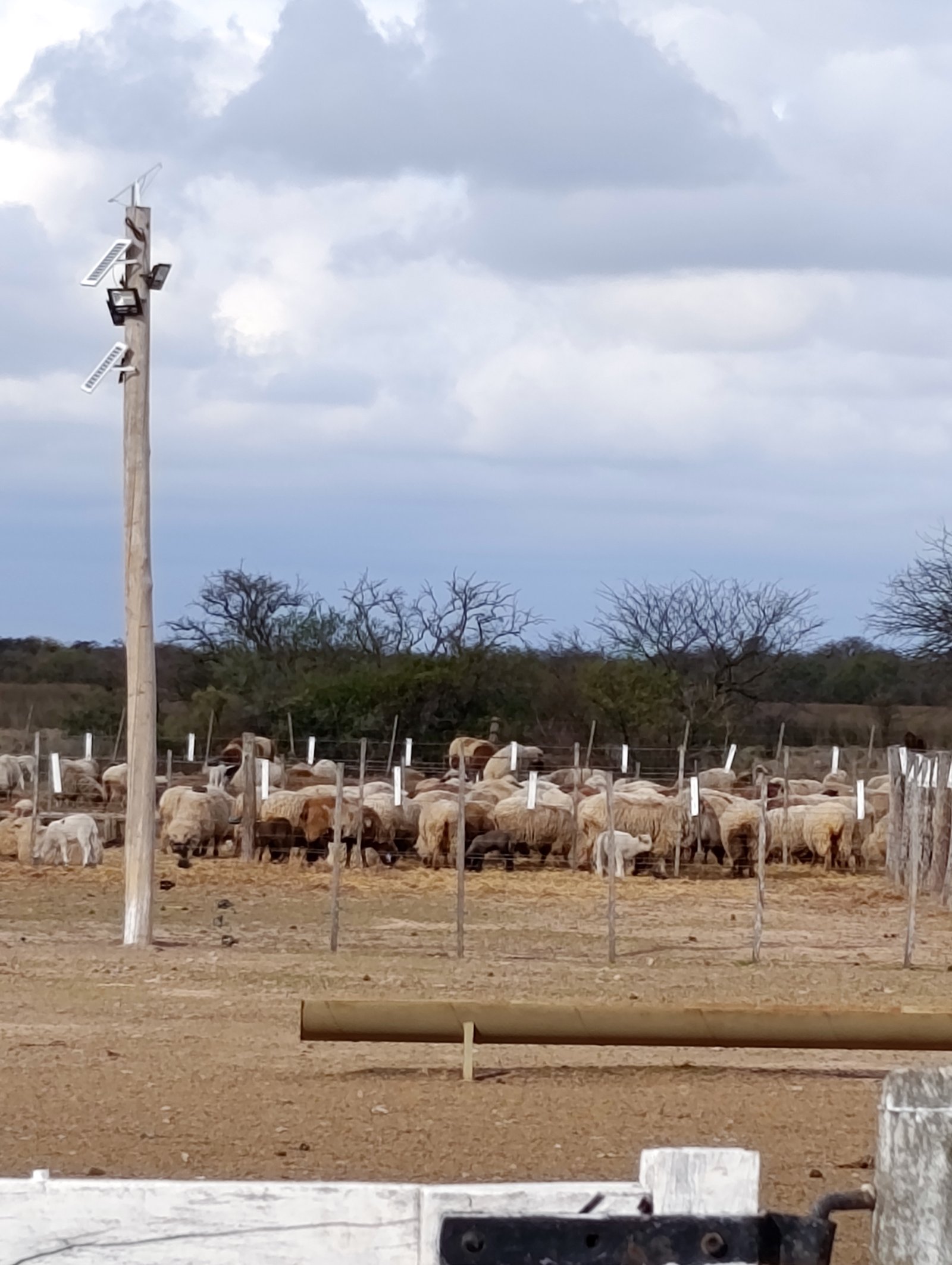 Granja en venta Chilibroste