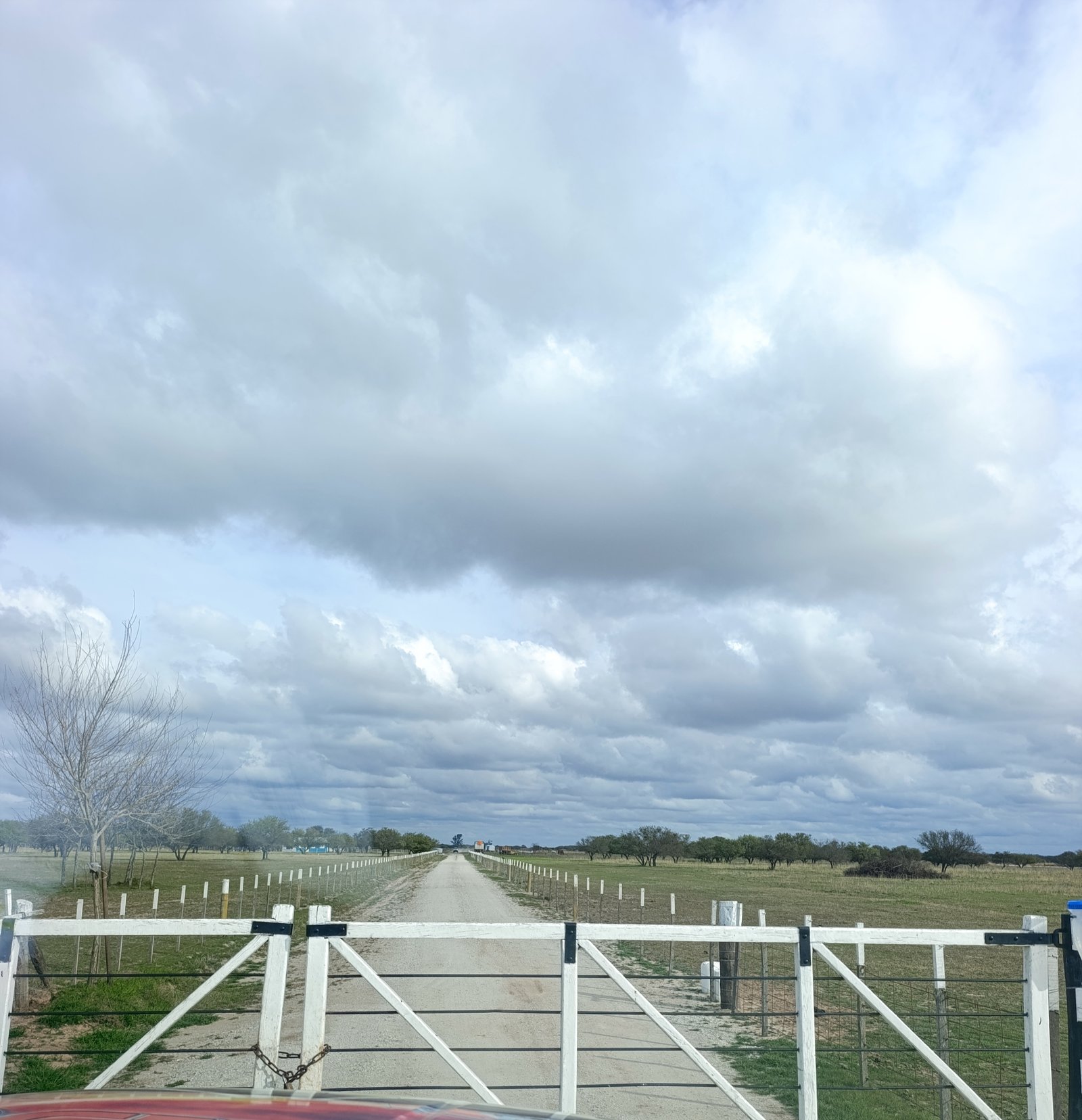 Granja en venta Chilibroste