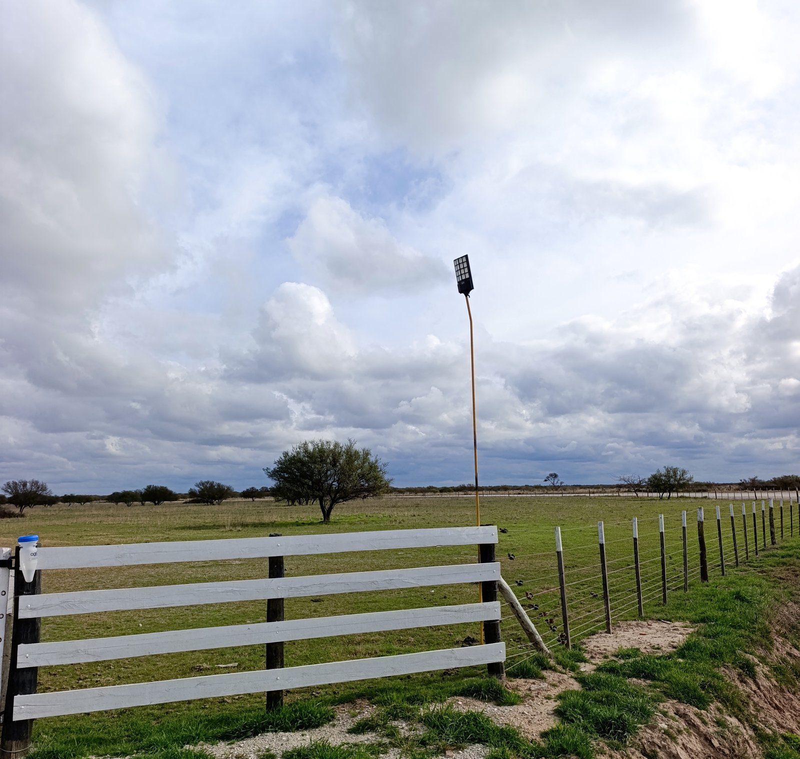 Granja en venta Chilibroste